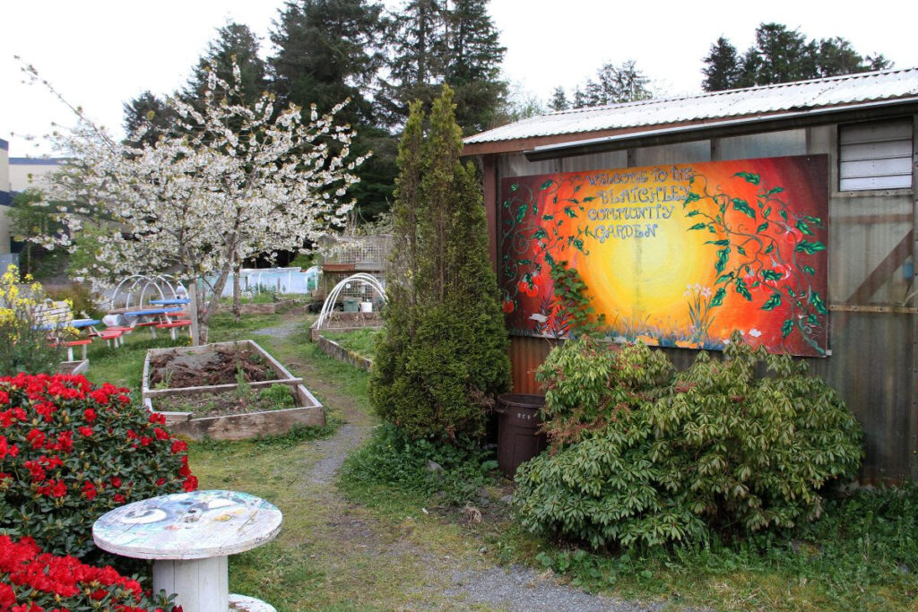 Community Garden image from Bingham in newsletter