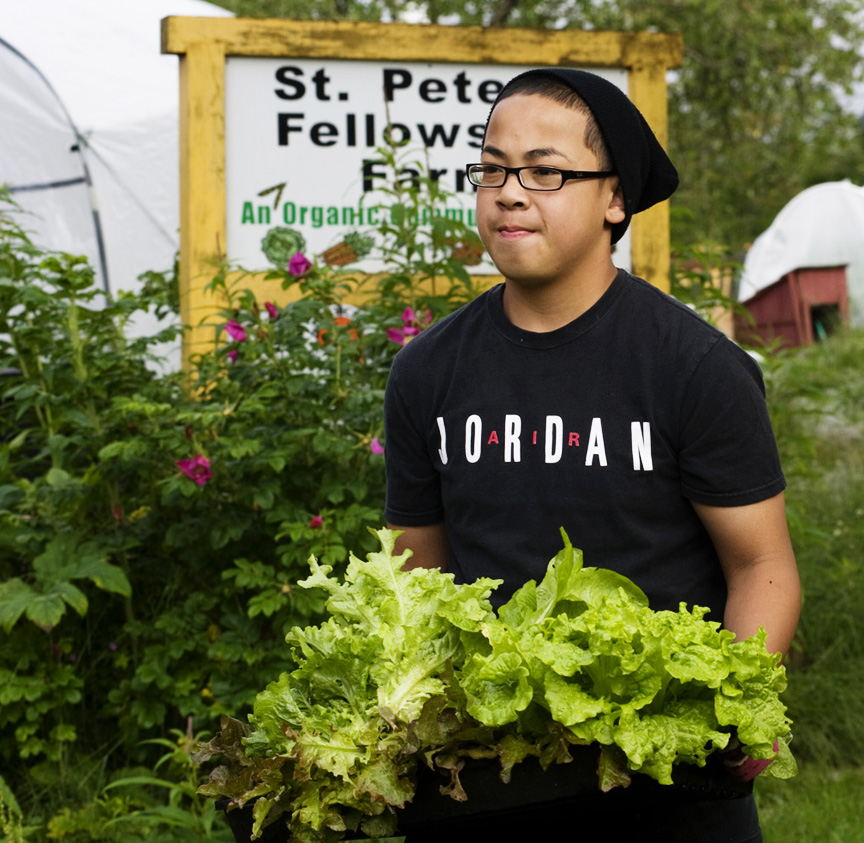 Sitka Local Foods Network volunteer Jonathan Ocampo carries a box of freshly harvested lettuce to a car Saturday at the Fellowship Farm. Volunteers were picking vegetables for the Farmers Market. The market is held every other week at ANB Hall. (Sentinel Photo by James Poulson)