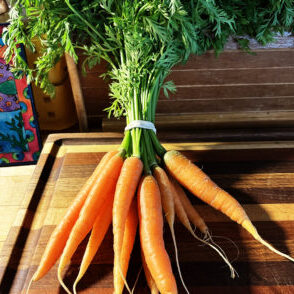 Farmers Market 2023 Carrots